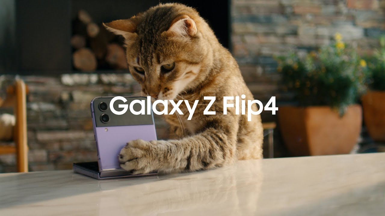 You can capture new perspectives with the all-new Galaxy Z Flip4.