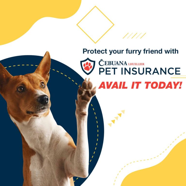 Cebuana Lhuillier Pet Insurance