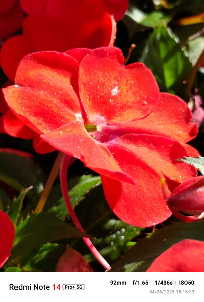 redmi note 14 pro