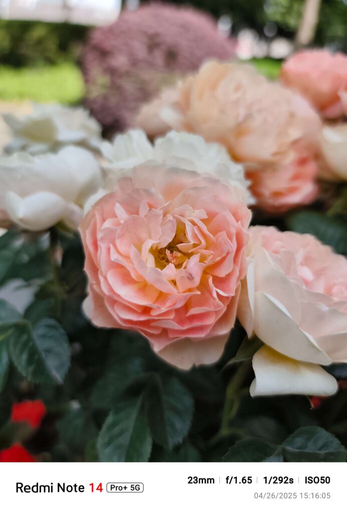 redmi note 14 pro