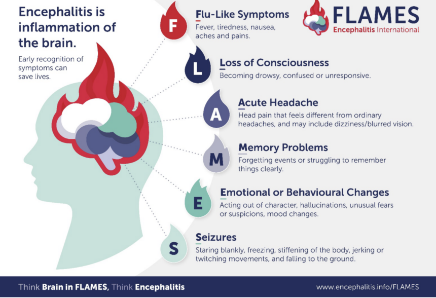 FLAMES Warning Signs for Encephalitis 2026 | EveryTechEver
